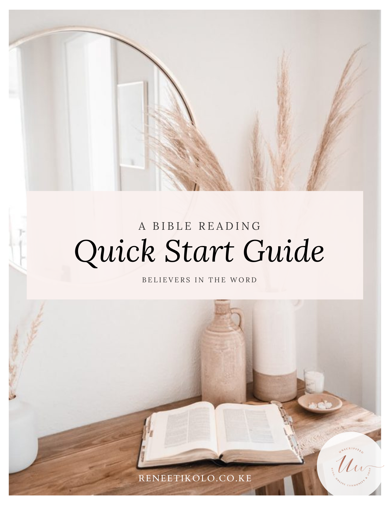 Quick Start Guide Bible Reading Guide